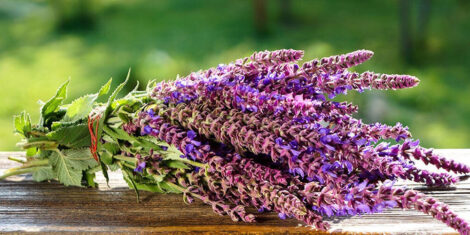 سبزی خشک ناب dried herbs dried vegetables