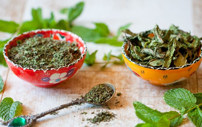 How to dry mint at home and important points
