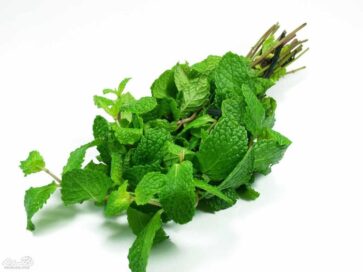 سبزی خشک و خشکبار فردوس ناب dried herbs dried vegetables