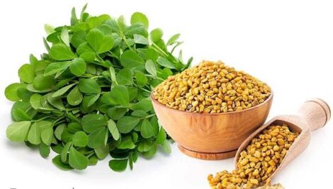 سبزی خشک ناب، شنبلیله.