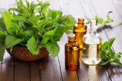 سبزی خشک روغن پونه کوهی