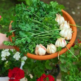 سبزی خشک ناب چوچاق یا زولنگ