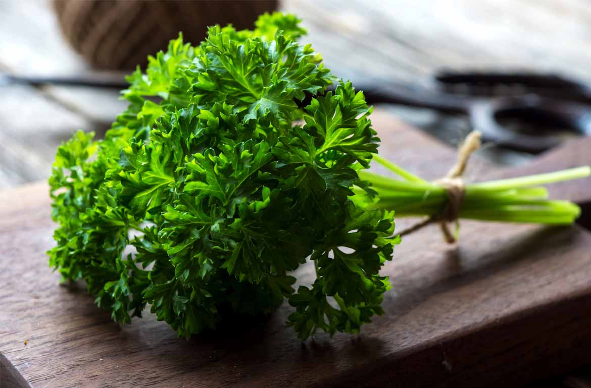 Twenty amazing properties of parsley